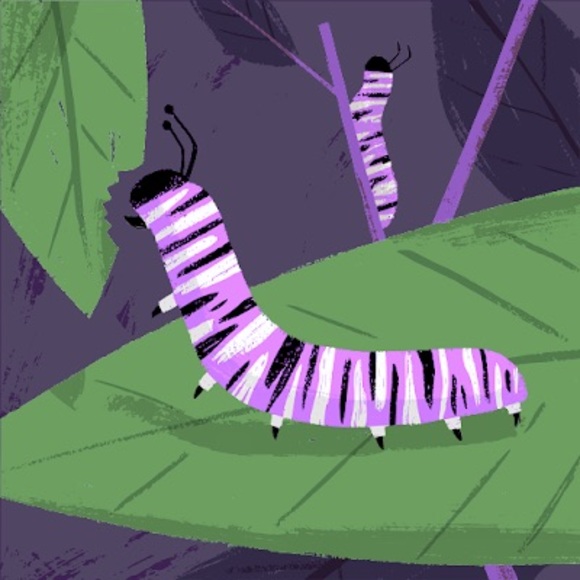 Meet your Posher, Payge - Picture 1 of 1